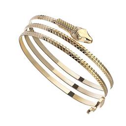 Holibanna Bracelete de cobra, bracelete chique, Egito, espiral, cobra, braço, braçadeira aberta, bracelete egípcio espiral, joia para mulheres e meninas, Dourado, 7x7cm