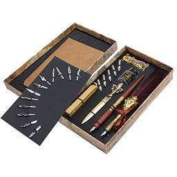Conjunto de canetas, kit de mergulho de pena vintage com penas, coleção de artesanato de caligrafia, escrita e marcação (plumagem vermelha)