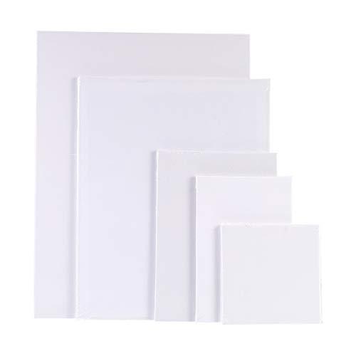 NUOBESTY 10 peças Quadro de lona branco branco para painel, quadros de tela de artista quadrados para pintura de desenho, tinta acrílica