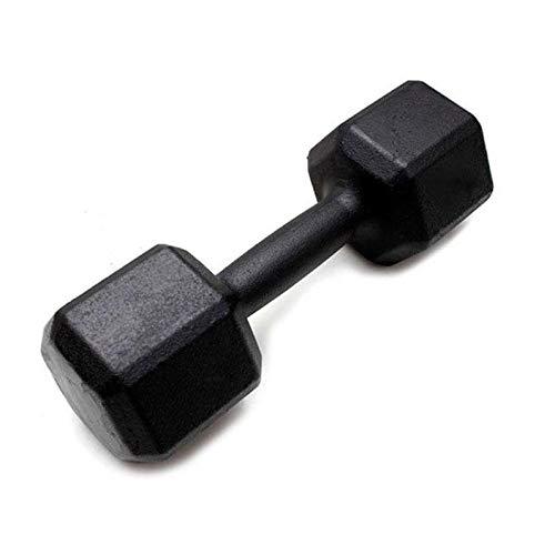 Dumbbell - Halter Sextavado de Ferro Polido 17,5 kg - Rae Fitness
