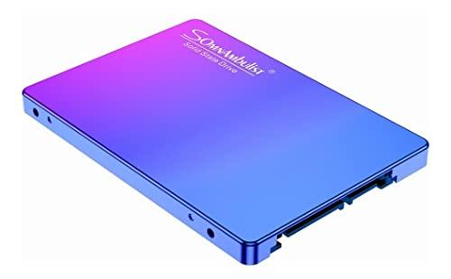 Somnambulist SSD 1TB SATA III 6GB/S Interno Disco sólido 2,5”7mm 3D NAND Chip Up To 520 Mb/s ?Azul Roxo-1TB)