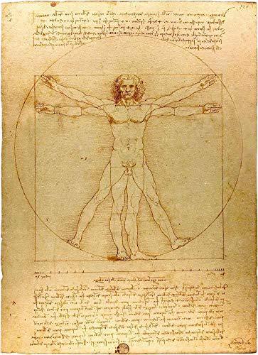 O Homem Vitruviano de Leonardo da Vinci - 30x41 - Tela Canvas Para Quadro