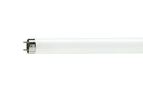 Lâmpada Fluorescente Tubular Philips No Voltagev Branco