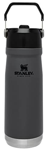 Stanley Jarra de água de aço inoxidável com canudo, garrafa de água isolada a vácuo para casa e escritório, copo reutilizável com canudo à prova de vazamento, 650 ml