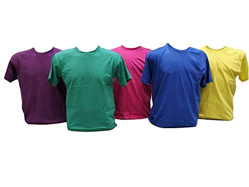 Kit 5 Camisetas 100% Algodão (Roxo, Verde Bandeira, Pink, Royal, Canario, GG)