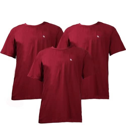 Kit 3 Camisetas Masculina Básica Casual Treino Academia Esportes BORDO-BORDO-BORDO P