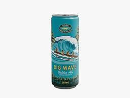 Cerveja Kona Big Wave Lata 269ml