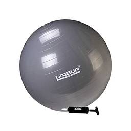 Bola Suiça Premium - 65cm - Cinza