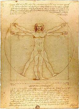 O Homem Vitruviano de Leonardo da Vinci - 50x68 - Tela Canvas Para Quadro