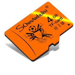 Somnambulist Cartão Micro SD Card 4GB TF Card de Velocidade de Vídeo C10 Certificação Desempenho A1 Aplicativo (Trophy 4GB?