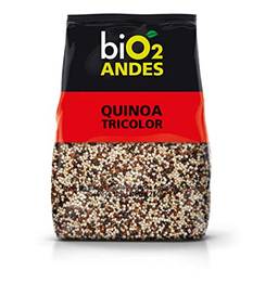 Andes Quinoa Coloridagrãos Bio2 250g
