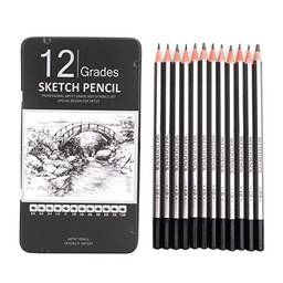 Conjunto de lápis de desenho Ding com 12 peças, lápis de arte de grafite, 6H-10B, lápis de sombreamento de grafite para iniciantes profissionais