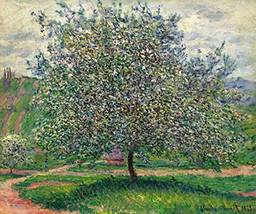 O Pomar (1879) de Claude Monet - 50x60 - Tela Canvas Para Quadro